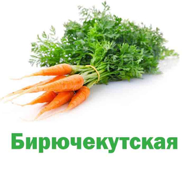 Морковь Бирючекутская