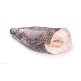 Чилийский Сибас / Патагонский Клыкач Приголовок на коже до 1 кг.(морож, проложка, картонный короб)
