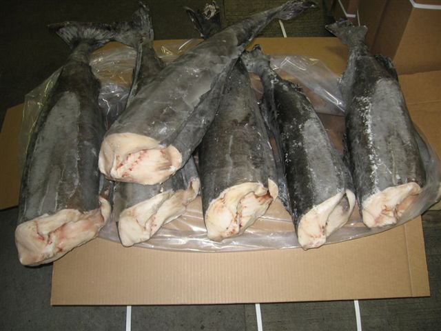 Черная Треска/ Угольня Рыба 7+ LBS., б/г , потрошеня , без хвоста (морож,, картонный короб)
