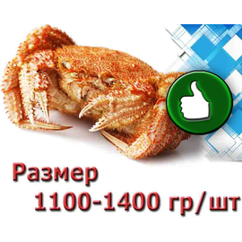Краб Волосатик 1100-1200 гр/шт