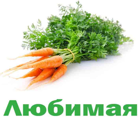 Морковь Любимая