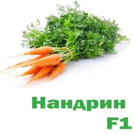 Морковь Нандрин F-1