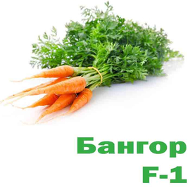 Морковь Бангор F-1
