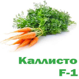 Морковь Каллисто F-1