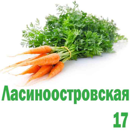 Морковь Лосиноостровская 17