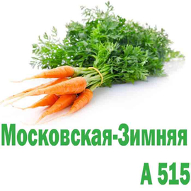 Морковь Московская Зимняя А 515