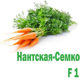 Морковь Нантская Семко F-1