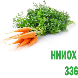 Морковь НИИОХ 336
