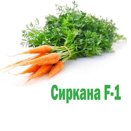Морковь Сиркана F-1