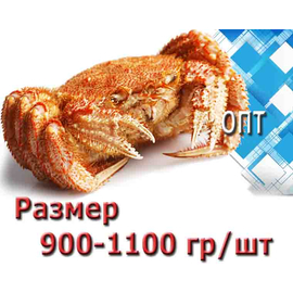 Краб Волосатик 900-1100 гр/шт