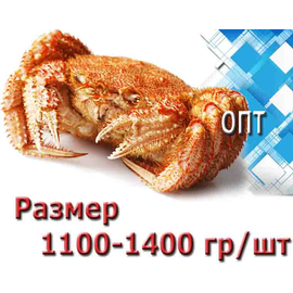 Краб Волосатик 1100-1400 гр/шт