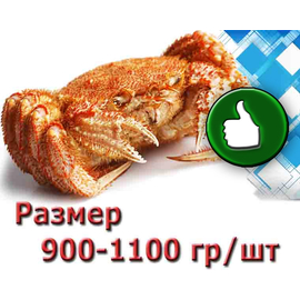 Краб Волосатик 900-1100 гр/шт