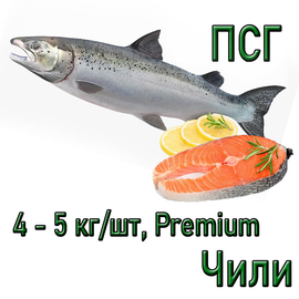Семга (атлантический лосось), 4-5 кг Premium