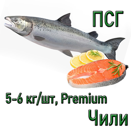 Семга (атлантический лосось), 5-6 кг Premium