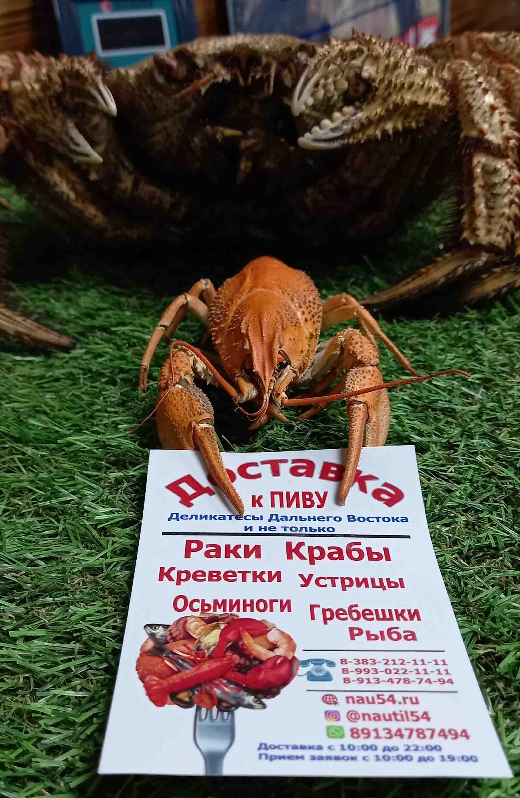 Доставка вареных раков в Новосибирске