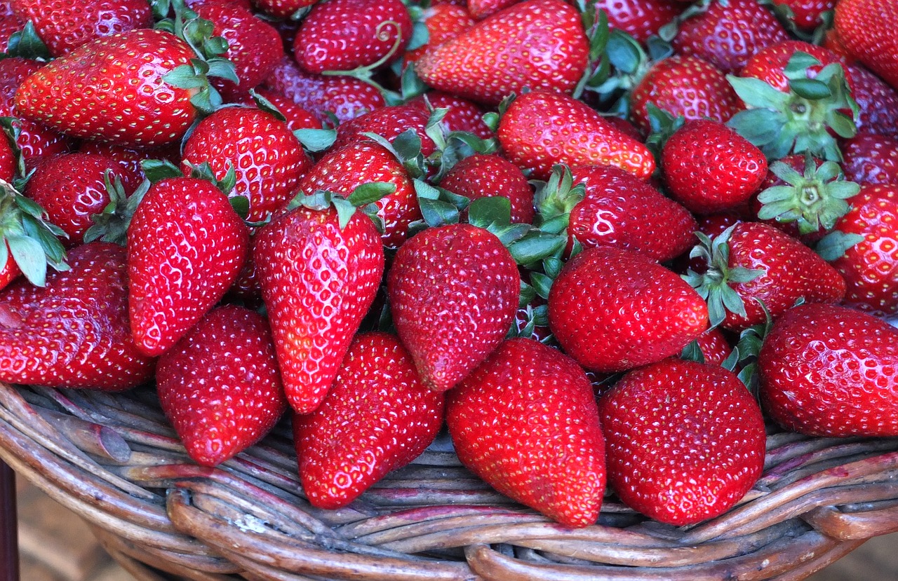 Купить клубнику ягоду в Новосибирске оптом и в розницу