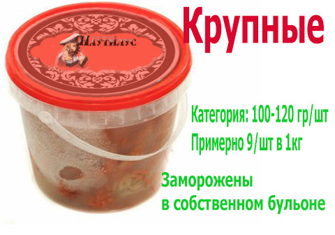 Купить раков варёно-мороженных крупных в Новосибирске оптом и в розницу 